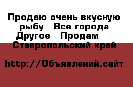 Продаю очень вкусную рыбу - Все города Другое » Продам   . Ставропольский край